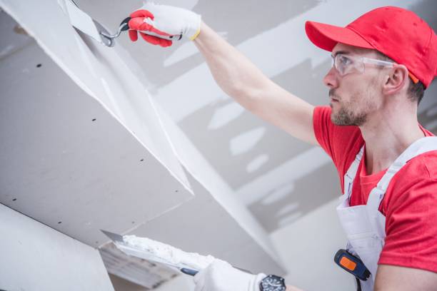 Professional Drywall and Painting Service in Lake Of The Woods, VA